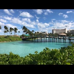 Meet your Posher, Diana